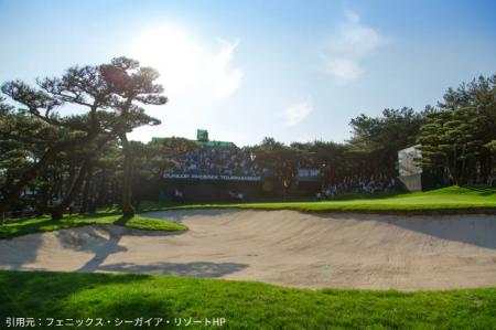 江戸時代から続く「海岸松林」が消える?日本屈指の名 江戸時代から続く「海岸松林」が消える?日本屈指の名