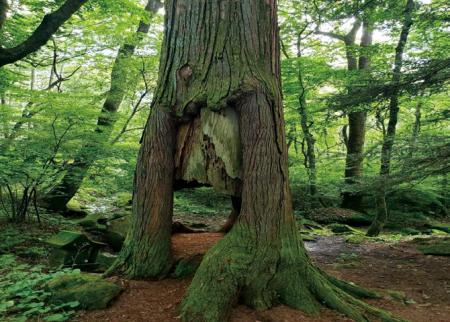 【いのち会議】～いのち宣言をつなぐ「103のアクショ