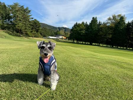 軽井沢 【晴山(せいざん)ゴルフ場】プリンスゴルフ 軽井沢 【晴山(せいざん)ゴルフ場】プリンスゴルフ