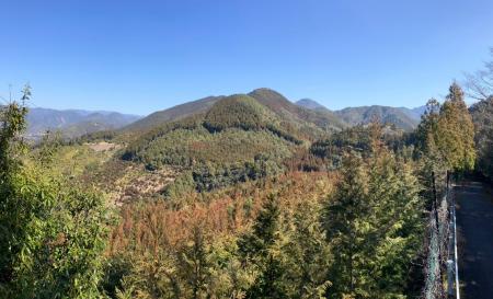 中長商店とバイウィルの共同プロジェクト、 J-クレジ