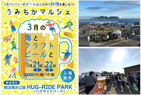 【鵠沼海浜公園】1日約4,000名来場の人気クラフトビー