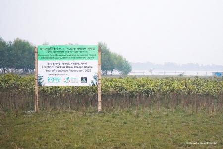 グリーンアライアンス、バングラデシュで累計1.6万本 グリーンアライアンス、バングラデシュで累計1.6万本