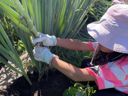 海と大地が育む「豊かな暮らし」。八雲町で行う親子留