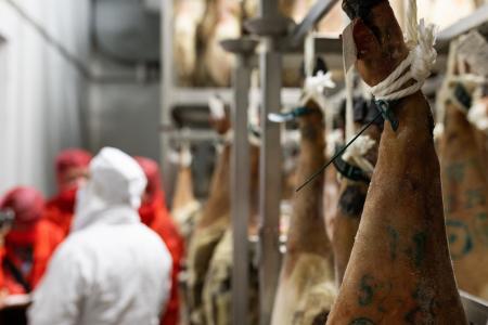 日本のジャーナリストによる起源地訪問イベリコハムお