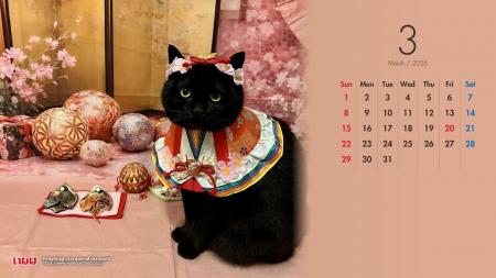 いなばペットフード　わんちゃん・猫ちゃんの「ひな祭