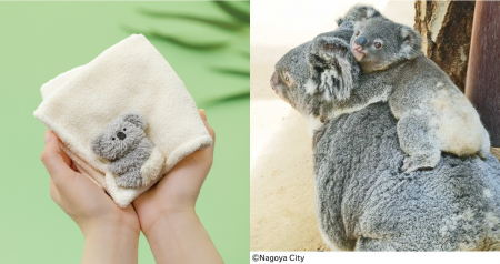 【名古屋市・東山動植物園監修】まるでオムツ？赤ちゃ