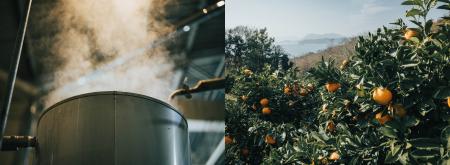 THREEが追求する国産精油創りの新たな拠点、広島県尾