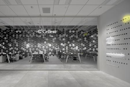 『ライブコマースのインフラ化』を目指すCellest、本