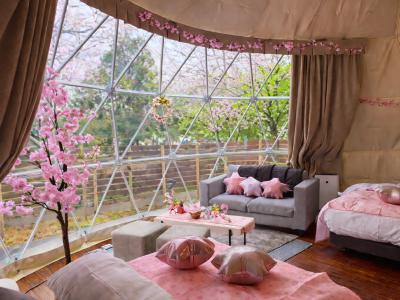 ＜1日1棟限定＞ 花粉・寒さゼロの「インドアお花見」×