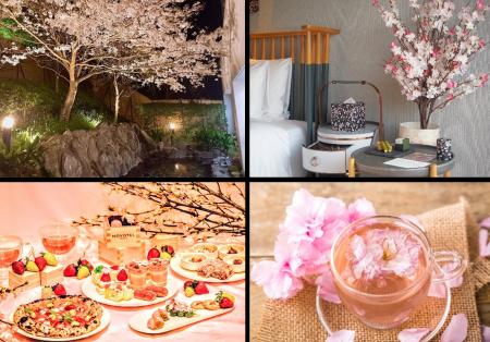 桜前線に合わせて南から北へ、桜とともに巡る春の旅 桜前線に合わせて南から北へ、桜とともに巡る春の旅