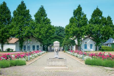 子ども料金「半額」に！茨城県の「こもれび森のイバラ