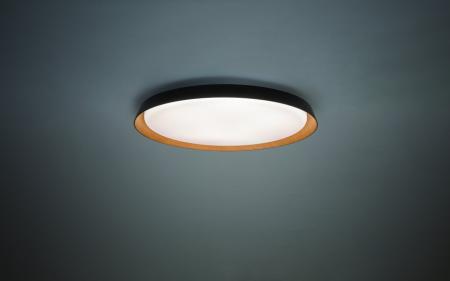 天井にウッドデザインでアクセントを。調光・調色可能