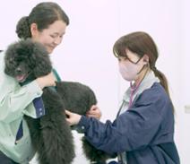 【残り6日】「人と動物が共生するまち」を目指して、