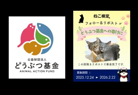 「ねこ検定」受験者・賛同者らの思いを届け、総額650,