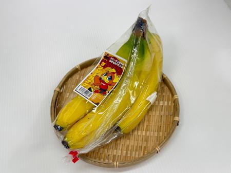 クラブと地域、そして日常の食卓をつなぐ。「ゲンゾー クラブと地域、そして日常の食卓をつなぐ。「ゲンゾー