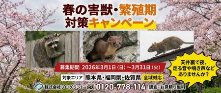 【3月の緊急警報】戸建の天井裏が「害獣の産院」にな