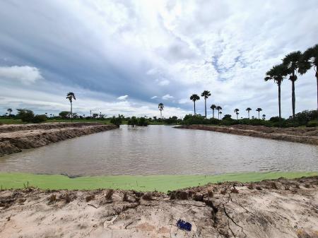 セネガルでの「農家による土と水と森の再生と維持管理