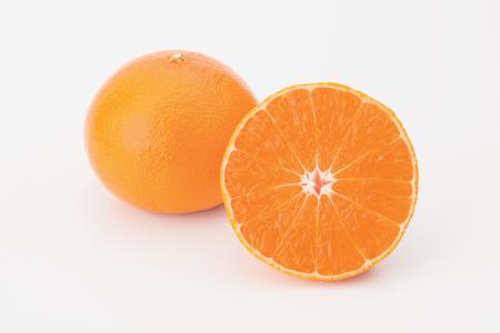 【まじめえひめ公式X プレゼントキャンペーン】柑橘の