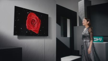 小池栄子さんが出演するニトリの家電CMシリーズ第11弾