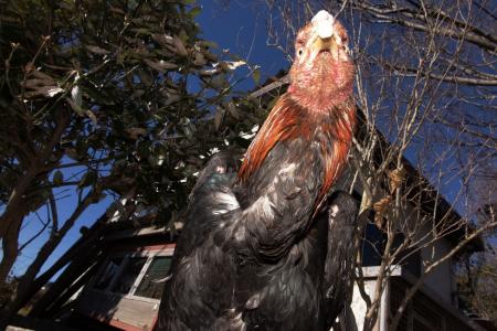 アイデムフォトギャラリー［シリウス］松井一泰　写真