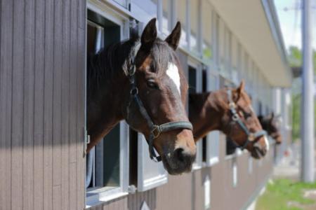 日高がぐっと身近に!日高自動車道「新冠IC」開utf-8 日高がぐっと身近に!日高自動車道「新冠IC」開utf-8