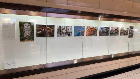 「多層都市・池袋 」 ~Echika池袋ギャラリーで3月3 「多層都市・池袋 」 ~Echika池袋ギャラリーで3月3