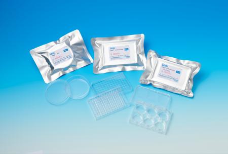 Ceglu(TM) cultureware北米地域での販売開始 Ceglu(TM) cultureware北米地域での販売開始