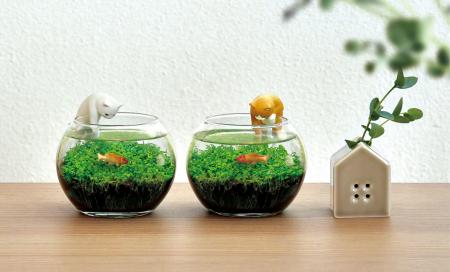 猫が狙う、金魚が泳ぐ。物語のある水草栽培キット「じ