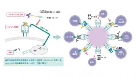 「抗ネオセルフ抗原抗体を用いた画期的な自己免疫疾患 「抗ネオセルフ抗原抗体を用いた画期的な自己免疫疾患