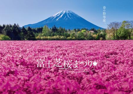 一面ピンクに染まる富士山麓の春の祭典「富士芝桜まつ 一面ピンクに染まる富士山麓の春の祭典「富士芝桜まつ