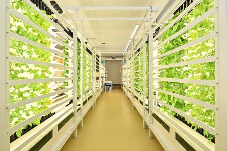 所有倉庫の一部が障がい者就労支援拠点に変わります 所有倉庫の一部が障がい者就労支援拠点に変わります