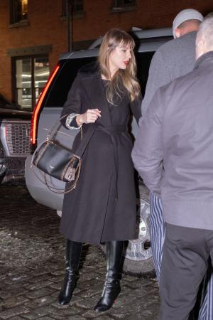 【ルイ・ヴィトン】テイラー・スウィフト、バッグ「エ 【ルイ・ヴィトン】テイラー・スウィフト、バッグ「エ