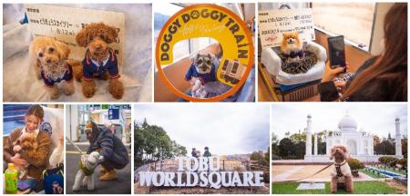 ケージレスで愛犬と旅行!「スカイツリートレイン」貸 ケージレスで愛犬と旅行!「スカイツリートレイン」貸