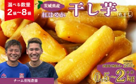 【茨城県常陸太田市】今が旬！ふるさと納税返礼品「干