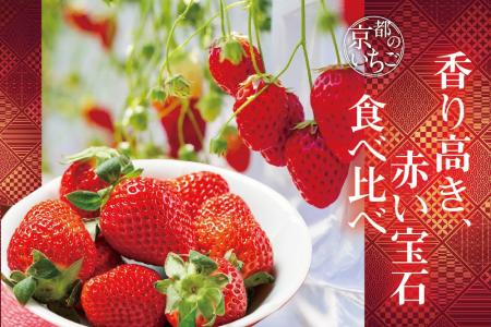 【京都のいちご】伝統にとけこむ甘美なひと粒 redさ 【京都のいちご】伝統にとけこむ甘美なひと粒 redさ