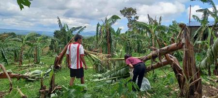 生活クラブで扱う「バランゴンバナナ」の産地 フィリ