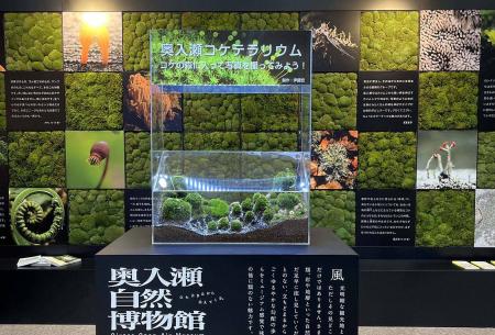 奥入瀬渓流の魅力を東京で体感　「奥入瀬移動博utf-8