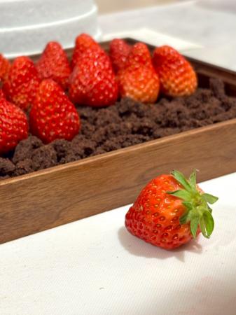 【Pluie d’été 6周年記念】“苺狩り体験”をテーマutf-8 【Pluie d’été 6周年記念】“苺狩り体験”をテーマutf-8