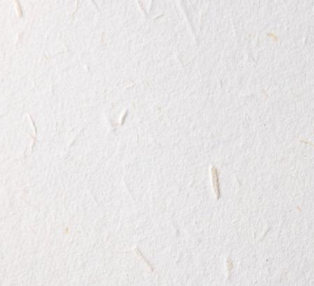 廃棄花が地域資源に。高速オフセット、大阪・吹田市発