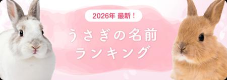 【2026年最新】うさぎの名前ランキングを発表！