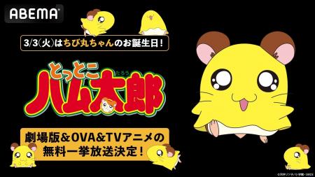 「ハムちゃんず」の末っ子・ちび丸ちゃん誕生日当日・ 「ハムちゃんず」の末っ子・ちび丸ちゃん誕生日当日・