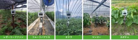 鹿児島県南種子町でのIoT農業支援を展開農業AI/IoTソ