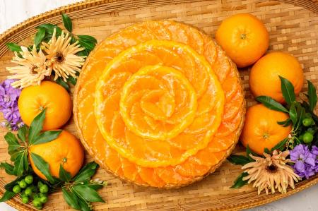 【キル フェ ボン】佐賀県が20年以上の歳月をかけて開