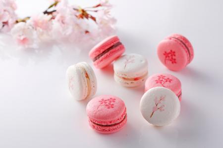 3000本の桜が舞う、大阪城公園を“お庭”に春を味わう『