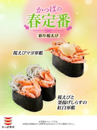 【かっぱ寿司】春のごちそう、桜えび春を告げる上品な 【かっぱ寿司】春のごちそう、桜えび春を告げる上品な