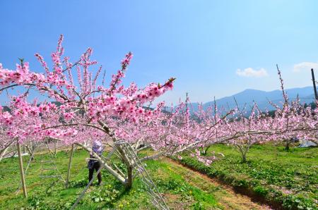 【飛騨高山・岐阜県高山市】「南高山・観光まちづくり