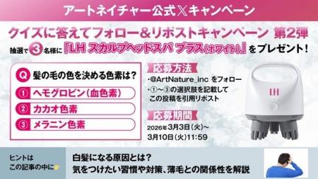 アートネイチャー公式Xにて『LH スカルプヘッドスパ 