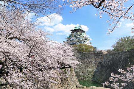 【1日5室限定】お部屋で”プライベートお花見”。ホテル