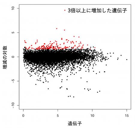生分解性を付与するプラスチック添加剤P-Lifeにutf-8 生分解性を付与するプラスチック添加剤P-Lifeにutf-8