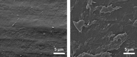 プラスチック添加剤P-Lifeを添加したプラスチッutf-8